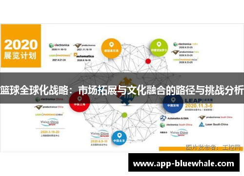 篮球全球化战略：市场拓展与文化融合的路径与挑战分析