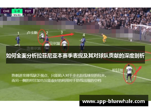 如何全面分析拉菲尼亚本赛季表现及其对球队贡献的深度剖析