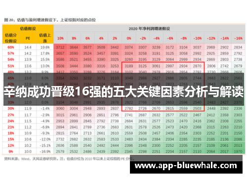 辛纳成功晋级16强的五大关键因素分析与解读