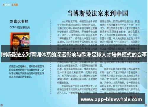 博斯曼法案对青训体系的深远影响与欧洲足球人才培养模式的变革